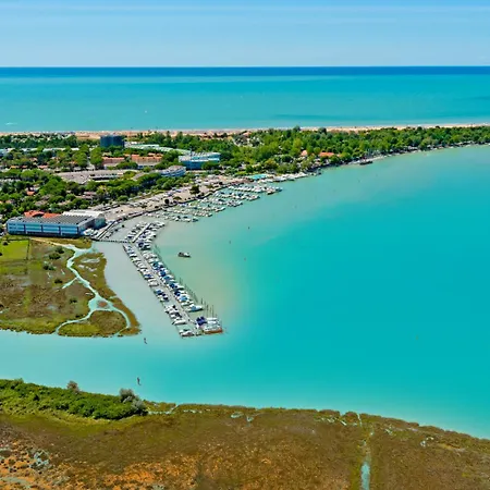 Girasole * ביביונה