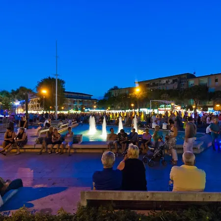 Girasole * ביביונה